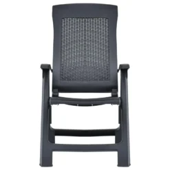 VidaXL Tuinstoelen 2 St Verstelbaar Kunststof Antracietkleurig 6 VidaXL Tuinstoelen 2 St Verstelbaar Kunststof Antracietkleurig -Aerocover Verkoop 2024 1000006340 0102