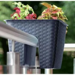 Nieuwe uitgaven -Aerocover Verkoop 2024 1758953789 0101