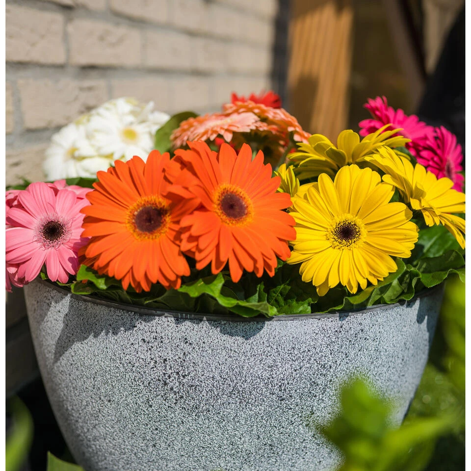 Ter Steege Bloempot/plantenpot - Buiten - Betongrijs - D19/H15 Cm 2 Ter Steege Bloempot/plantenpot - Buiten - Betongrijs - D19/H15 Cm - Afbeelding 2