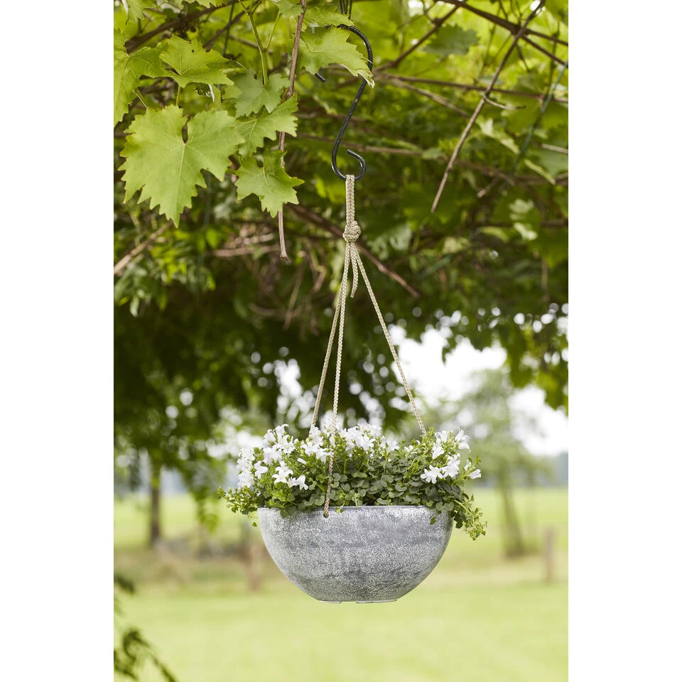 Ter Steege Plantenpot - Hangend - Betongrijs - Kunststof - 35 X 17 Cm 2 Ter Steege Plantenpot - Hangend - Betongrijs - Kunststof - 35 X 17 Cm - Afbeelding 2
