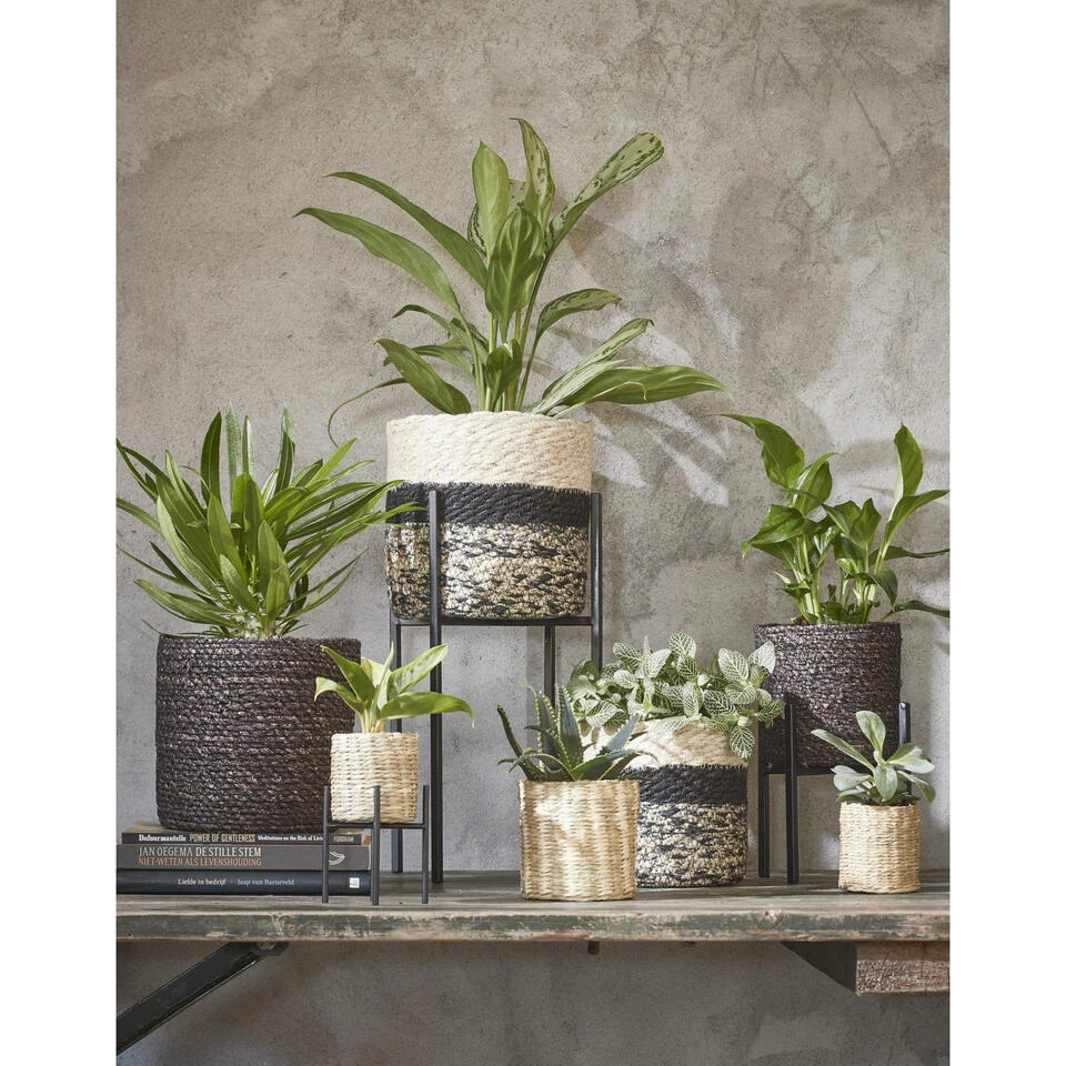 Mica Decorations Bloempot - Rotan - Zwart - Jute - 14 X 14 Cm 2 Mica Decorations Bloempot - Rotan - Zwart - Jute - 14 X 14 Cm - Afbeelding 2