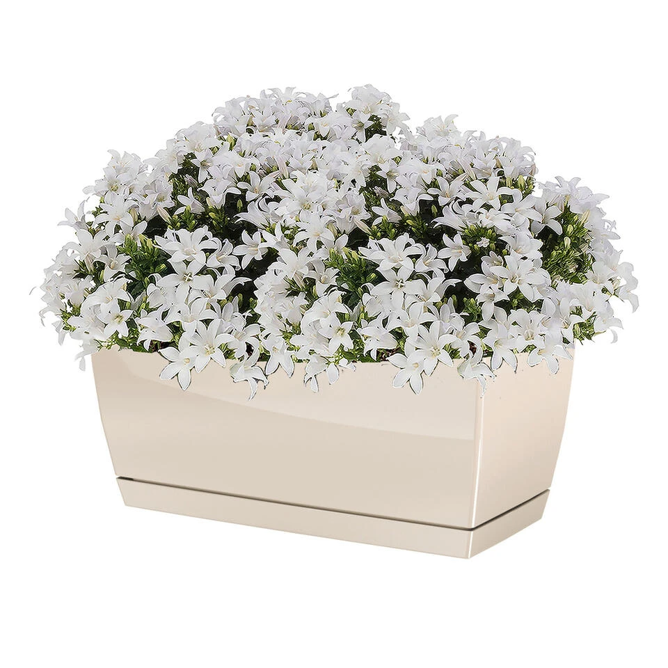 Prosperplast Bloempot - Kunststof - Creme-beige - 29 X 14 X 13,6 Cm 2 Prosperplast Bloempot - Kunststof - Creme-beige - 29 X 14 X 13,6 Cm - Afbeelding 2