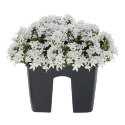 Nieuwe uitgaven -Aerocover Verkoop 2024 ed5d93d10097496a88089ae90063c150