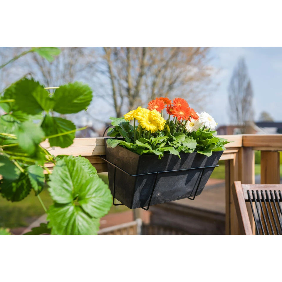 Steege Plantenbak - Gerecycled Kunststof - Zwart - 55 X 17 Cm 2 Steege Plantenbak - Gerecycled Kunststof - Zwart - 55 X 17 Cm - Afbeelding 2